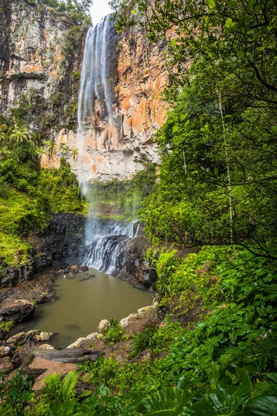 Purlingbrook Esik Gold Coast Hinterland Queensland Ausztrália — Stock Fotó