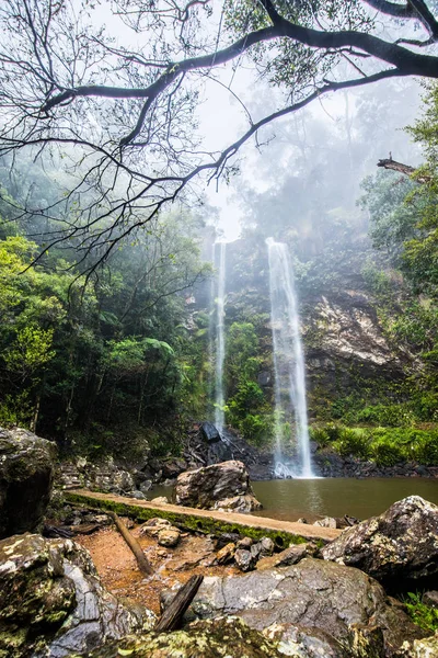 Twin Falls hike in the Springbrook National Park, Queensland, Australia