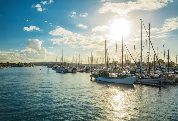 Sonnenuntergang Yachthafen Maroochydore Harbour Queensland Australia — Stockfoto