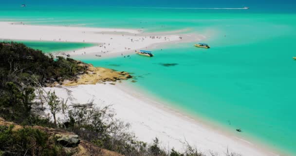 Καταπληκτική Παραλία Whitehaven Στα Νησιά Whitsunday Queensland Αυστραλία — Αρχείο Βίντεο
