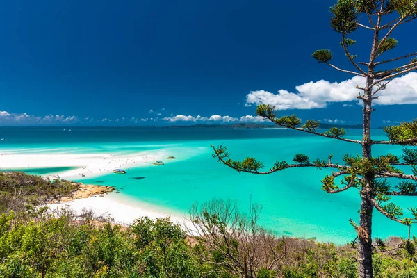 Panoramic View Amazing Whitehaven Beach Whitsunday Islands Queensland Australia — Stock Photo, Image