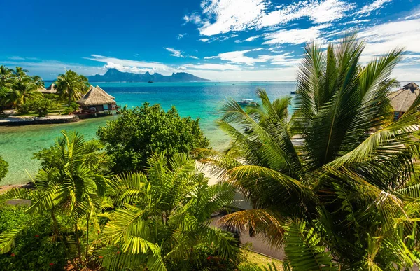Bungalows Sobre Agua Con Mejor Playa Para Bucear Tahití Polinesia —  Fotos de Stock