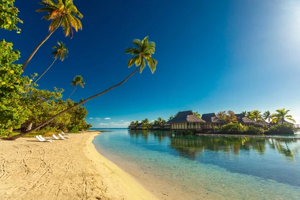 Tropical Resort Med Fantastisk Lagun Moorea Tahiti Franska Polynesien — Stockfoto