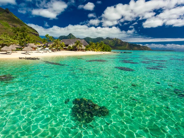 Tropický Resort Úžasnou Lagunou Moorea Tahiti Francouzská Polynésie — Stock fotografie