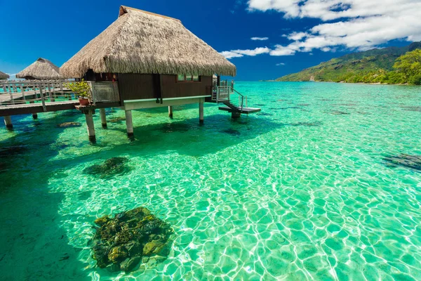 Über Wasser Bungalows Und Herrlich Grüne Lagune Moorea Französisch Polynesien — Stockfoto
