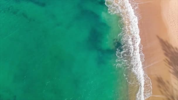 Hava Panoramik Görüntüler Dicky Beach Caloundra Queensland Avustralya — Stok video