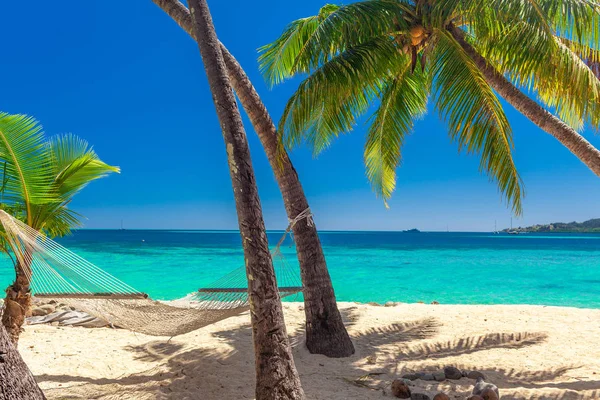 Tropical Beach Coconut Palm Trees Clear Lagoon Fiji Islands — Stock Photo, Image