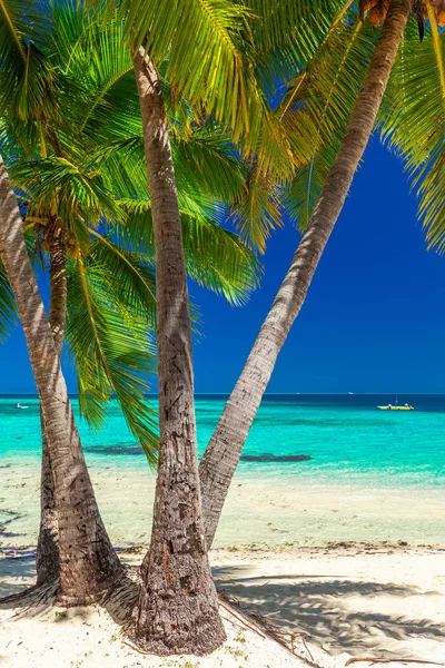 Spiaggia Tropicale Con Palme Cocco Laguna Limpida Sulle Isole Figi — Foto Stock