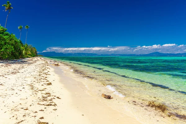 Praia Tropical Com Coqueiros Lagoa Clara Nas Ilhas Fiji — Fotografia de Stock