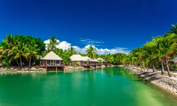 Trópusi Tengerpart Kókusz Pálmafák Tiszta Lagúna Fidzsi Szigeteki — Stock Fotó