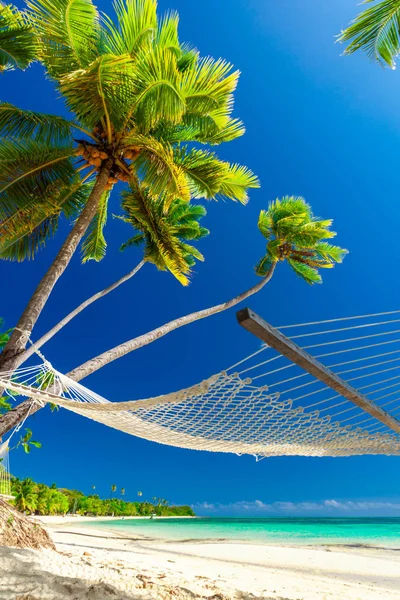 Pusty Hamaku Cieniu Drzew Palmowych Tropikalnych Wyspach Fidżi — Zdjęcie stockowe