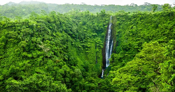 Vibrant Tall Papapapaitai Falls Rain Forest Upolu Island Samoa — Stock Photo, Image