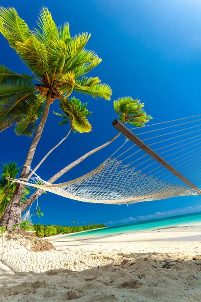 Empty Hammock Shade Palm Trees Tropical Fiji Islands — Stock Photo, Image