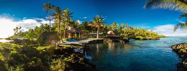 Panoramik Cennet Holoidays Konumuyla Mercan Palmiye Ağaçları Upolu Samoa Adaları — Stok fotoğraf