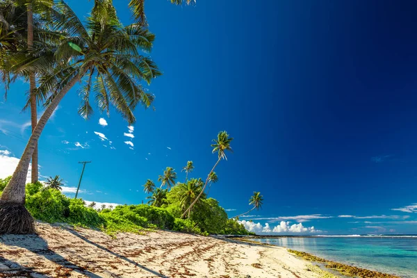 Beach Coral Reef South Side Upolu Framed Palm Leaves Samoa — Stock Photo, Image