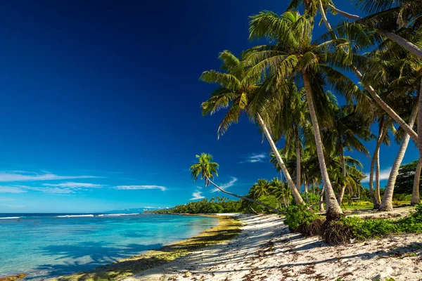 Playa Con Arrecife Coral Lado Sur Upolu Enmarcado Por Hojas —  Fotos de Stock