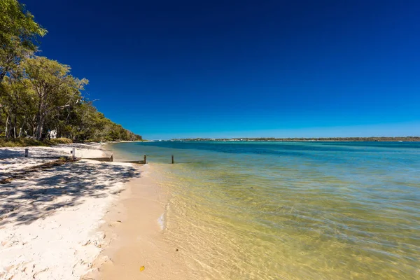 澳大利亚昆士兰 Bribie 岛西侧有树的夏日沙滩 — 图库照片