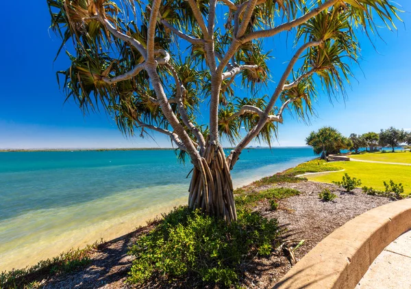 澳大利亚昆士兰 Bribie 岛西侧有树的夏日沙滩 — 图库照片