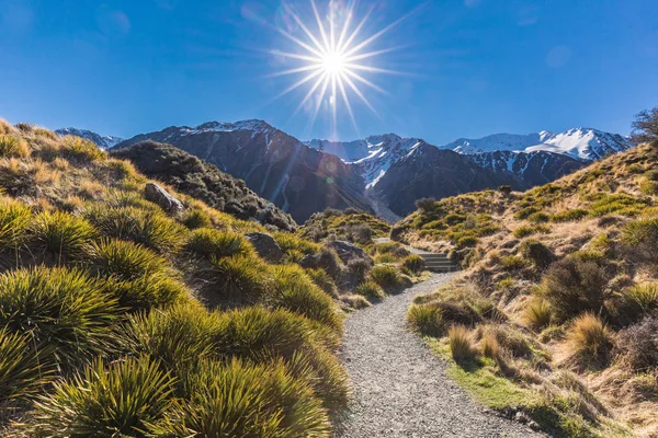 Blue Lakes Mountains Tasman Valley Walk Way Tasman Glacier View — Foto de Stock