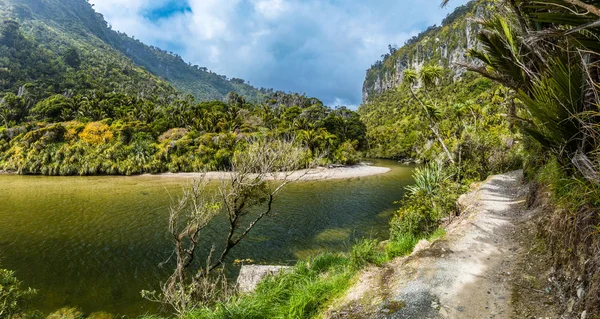 Porarari River Spår Nära Punakaiki Västkusten Sydön Nya Zeeland — Stockfoto