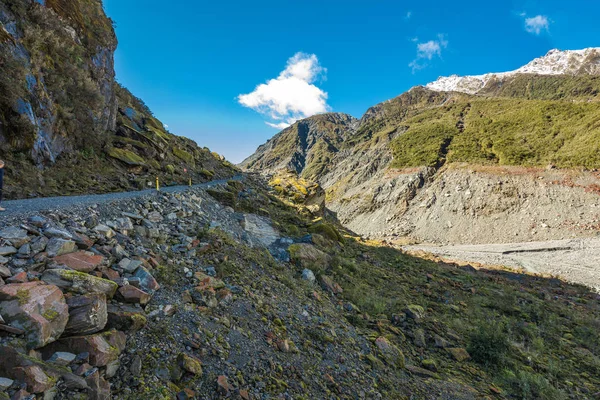 Mountain View Gleccser Folyóra Völgyben Fox Glacier West Coast Zéland — Stock Fotó