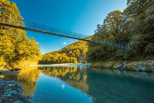 Famosa Atracción Turística Piscinas Azules Haast Pass Nueva Zelanda Isla — Foto de Stock