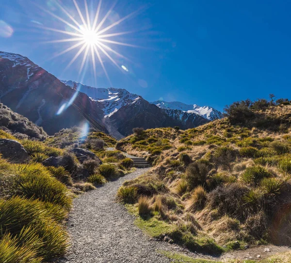 Blue Lakes Mountains Tasman Valley Walk Way Tasman Glacier View — Foto de Stock