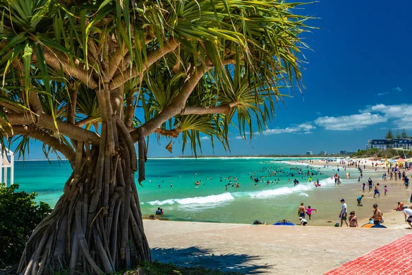 Caloundra Aus Janvier 2019 Journée Ensoleillée Kings Beach Calundra Sunshine — Photo