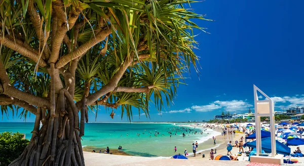 Caloundra Aus Jan 2019 Gorący Słoneczny Dzień Kings Beach Vrhnika — Zdjęcie stockowe
