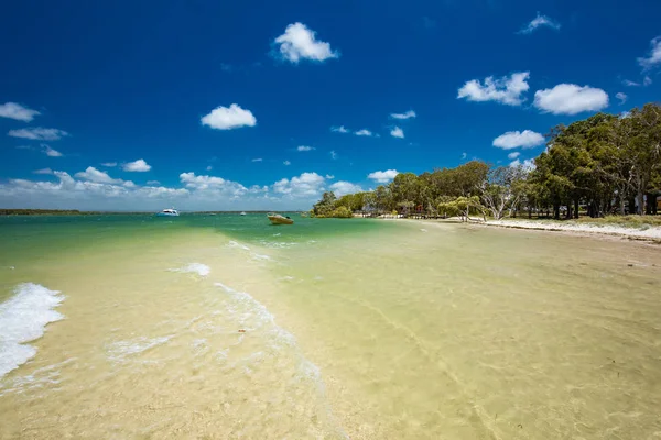 Spiaggia Tropicale Estiva Con Alberi Sul Lato Est Bribie Island — Foto Stock