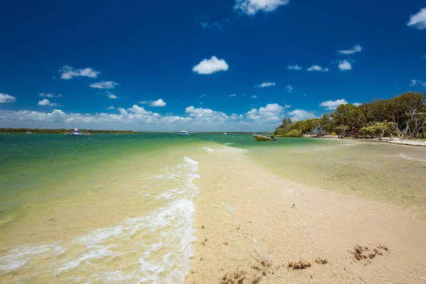 Playa Tropical Verano Con Árboles Lado Este Bribie Island Queensland —  Fotos de Stock