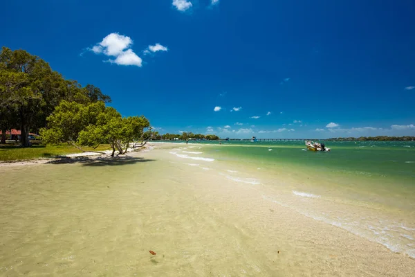 Plage Tropicale Estivale Avec Des Arbres Sur Côté Est Bribie — Photo