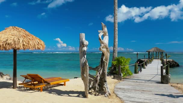 Playa Tropical Natural Vibrante Isla Samoa Con Palmeras — Vídeos de Stock
