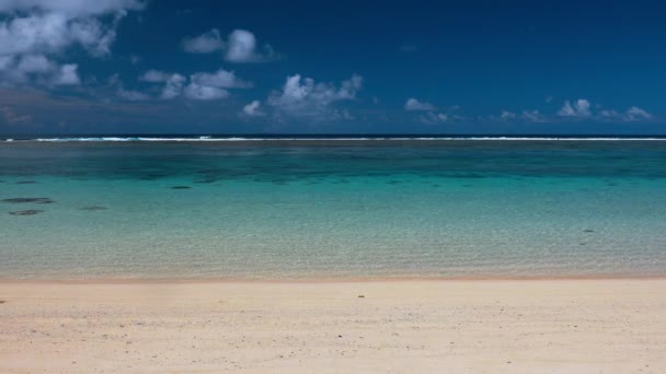 ヤシの木とサモア島の熱帯の鮮やかな自然ビーチ — ストック動画