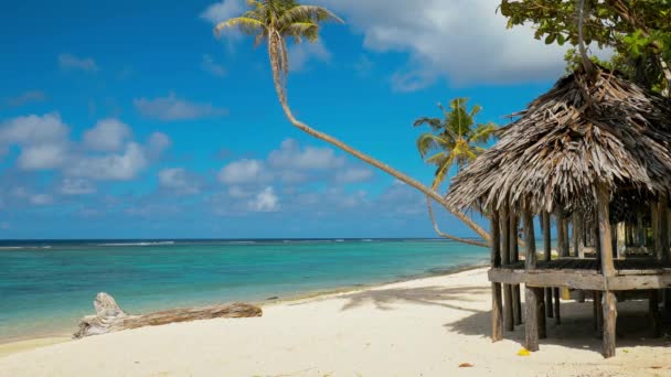 Tropischer Lebendiger Naturstrand Auf Samoa Insel Mit Palmen — Stockvideo