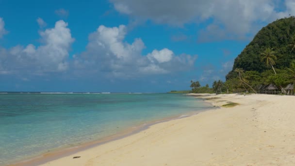 Тропічний Яскраві Природному Пляжі Острові Самоа Пальмами — стокове відео