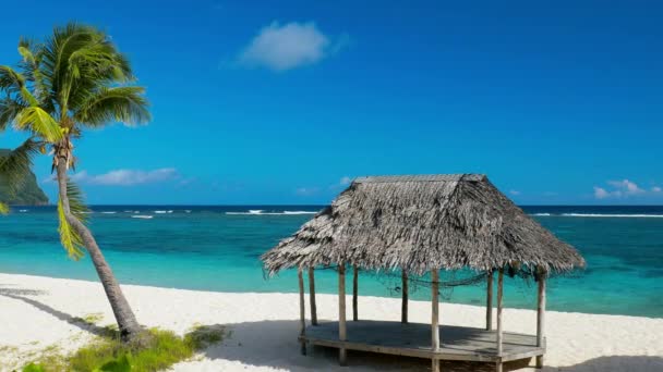 Tropischer Lebendiger Naturstrand Auf Samoa Insel Mit Palmen — Stockvideo