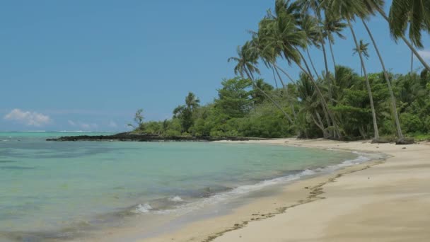 乌波南部的热带海滩 萨摩亚海岛与许多棕榈树 — 图库视频影像