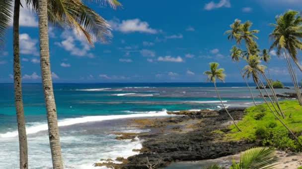 Upolu Samoa Adaları Birçok Palmiye Ağaçları Ile Güney Tarafındaki Tropikal — Stok video