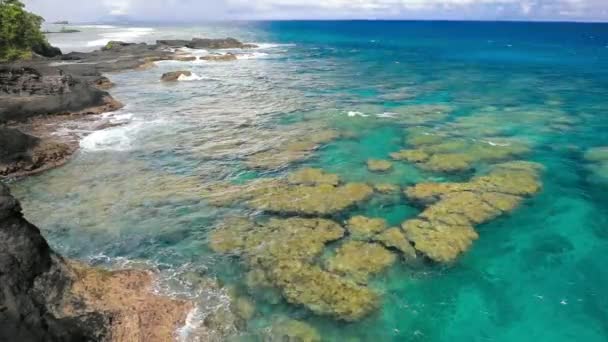 Barriera Corallina Tropicale Upolu Isole Samoa Perfetta Fare Snorkeling — Video Stock