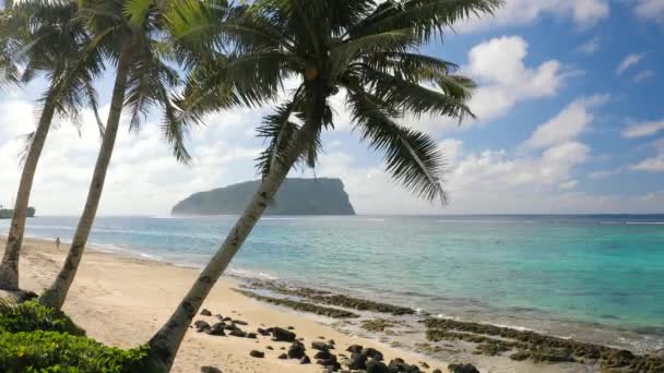 Tropikal Canlı Doğal Plajda Samoa Adaları Palmiye Ağacı Fale — Stok video