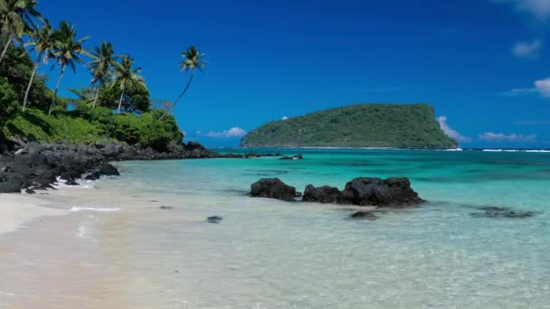 Panorama Vibrante Playa Tropical Lalomanu Isla Samoa Con Palmeras — Vídeo de stock