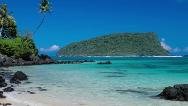 Panorama Vibrante Playa Tropical Lalomanu Isla Samoa Con Palmeras — Vídeo de stock