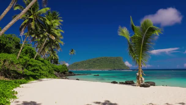 Canlı Tropikal Lalomanu Kumsalda Samoa Adaları Palmiye Ağaçları Ile Panoraması — Stok video
