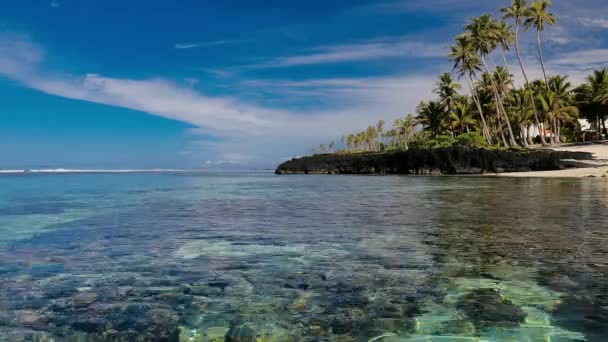 Tropikal Canlı Doğal Plajda Samoa Adaları Palmiye Ağaçları Ile — Stok video