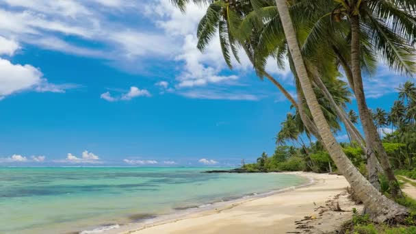 热带充满活力的天然海滩在萨摩亚岛与棕榈树 — 图库视频影像
