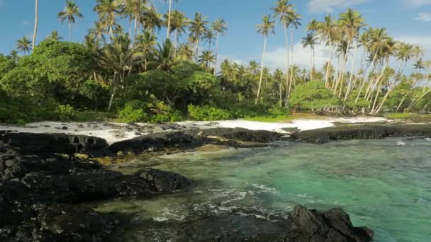 Trópusi Élénk Természetes Strand Samoa Szigetén Pálmafák — Stock videók