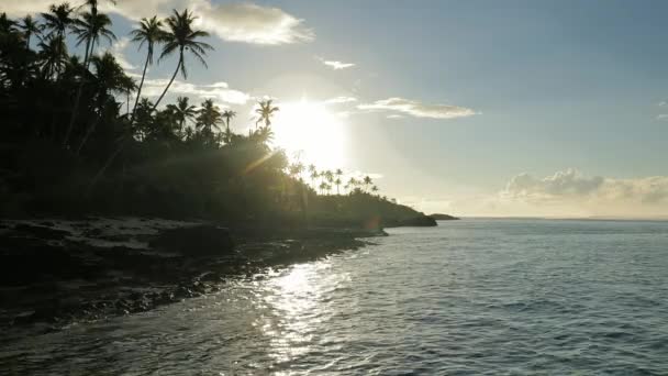 Trópusi Élénk Természetes Strand Samoa Szigetén Pálmafák — Stock videók