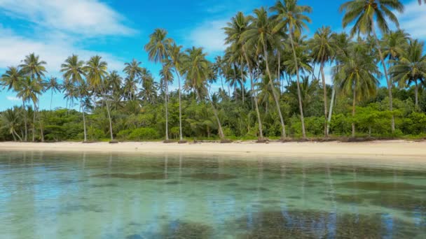 Tropiska Levande Naturliga Beach Samoa Med Palmer — Stockvideo