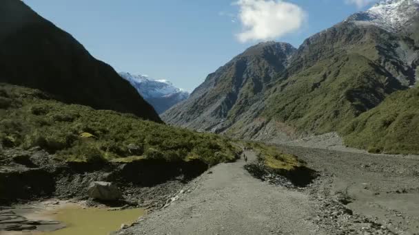 Mening Van Berg Van Gletsjerrivier Vallei Fox Glacier West Coast — Stockvideo